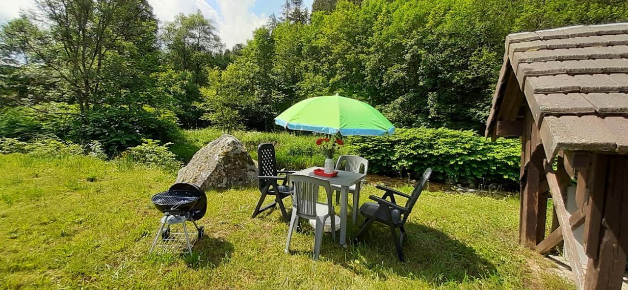 La Perle Au Bord De La Riviere Appartement Gérardmer Buitenkant foto