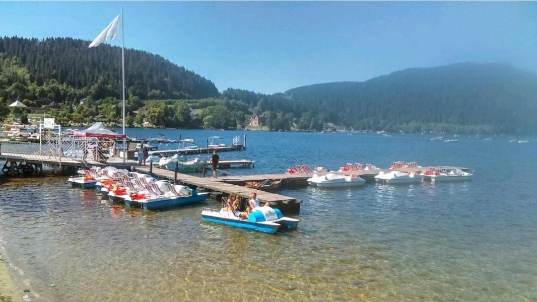 La Perle Au Bord De La Riviere Appartement Gérardmer Buitenkant foto