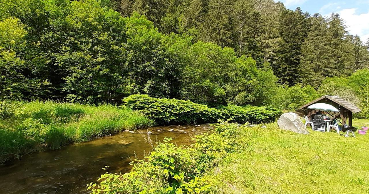 La Perle Au Bord De La Riviere Appartement Gérardmer Buitenkant foto