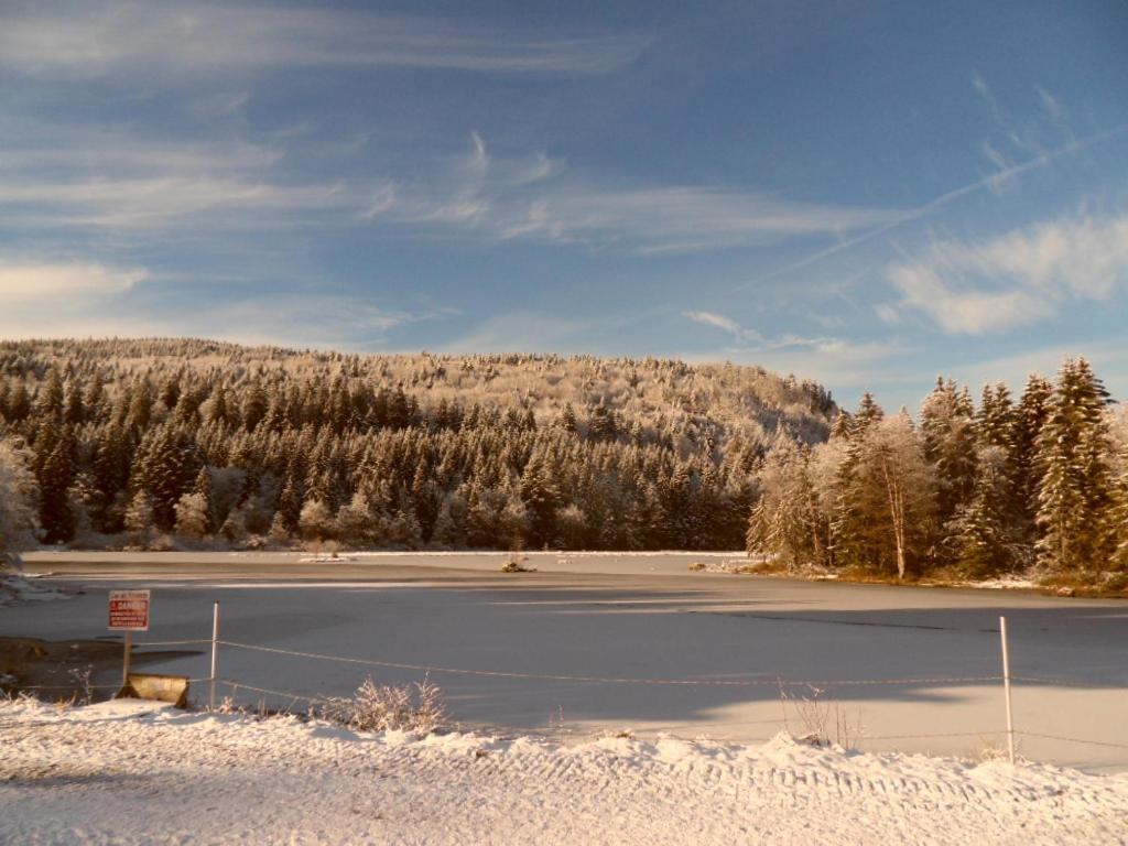La Perle Au Bord De La Riviere Appartement Gérardmer Buitenkant foto