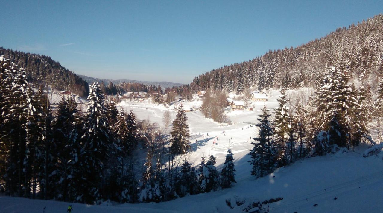 La Perle Au Bord De La Riviere Appartement Gérardmer Buitenkant foto