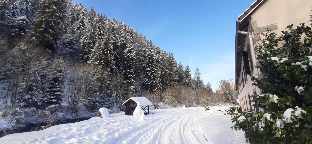 La Perle Au Bord De La Riviere Appartement Gérardmer Buitenkant foto