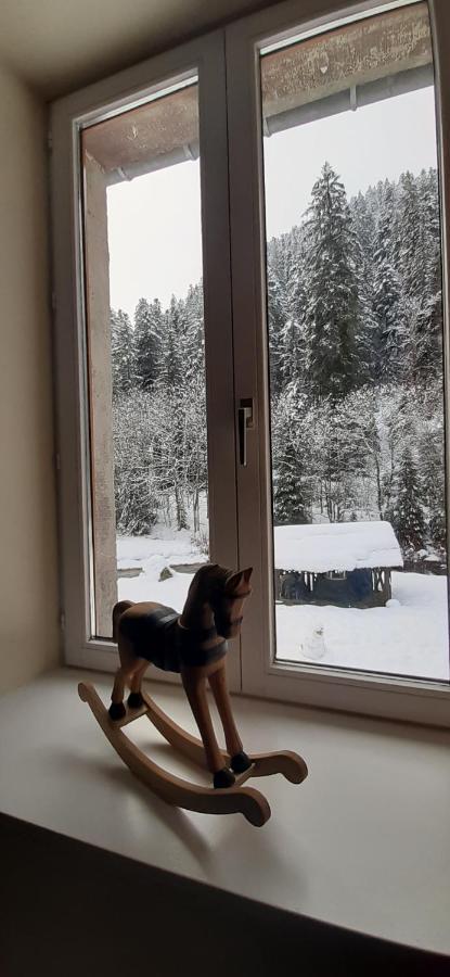La Perle Au Bord De La Riviere Appartement Gérardmer Buitenkant foto
